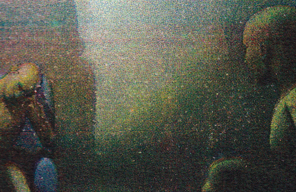 Stranger (Closeup)
